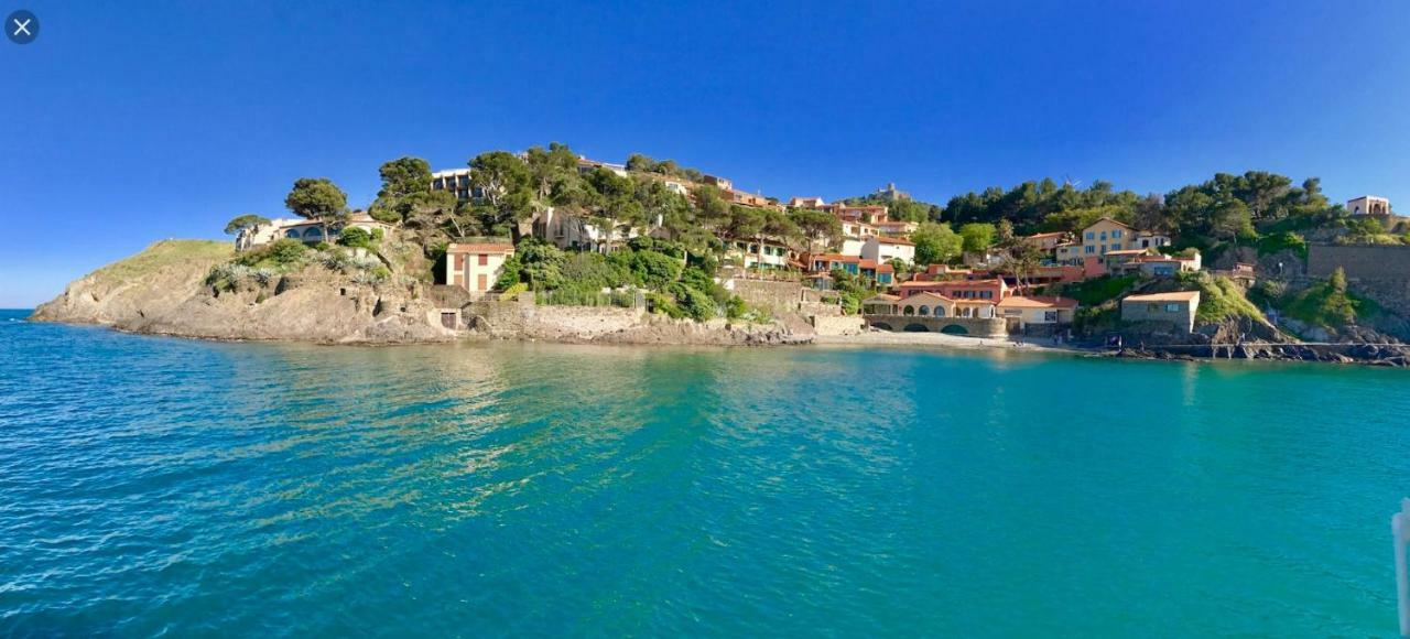Les Pieds Dans L'eau ! * Collioure